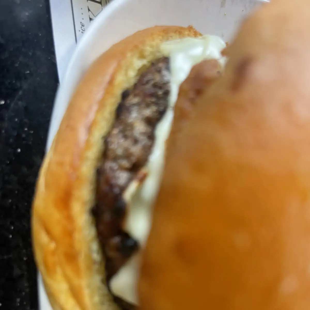Cheese Burger
