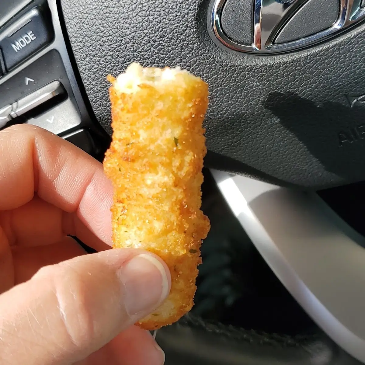 Mozzarella Cheese Sticks