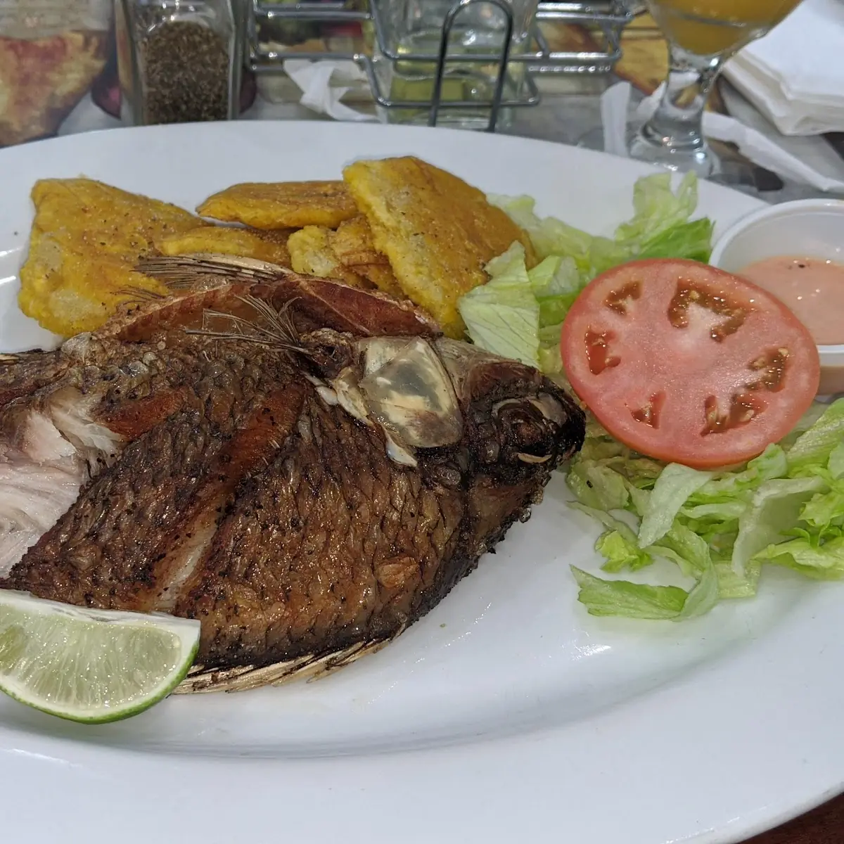 Tilapia Fillet