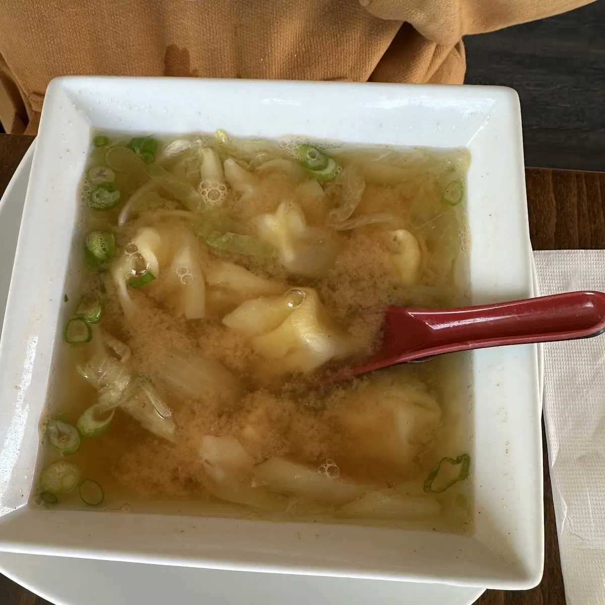 Wonton Soup