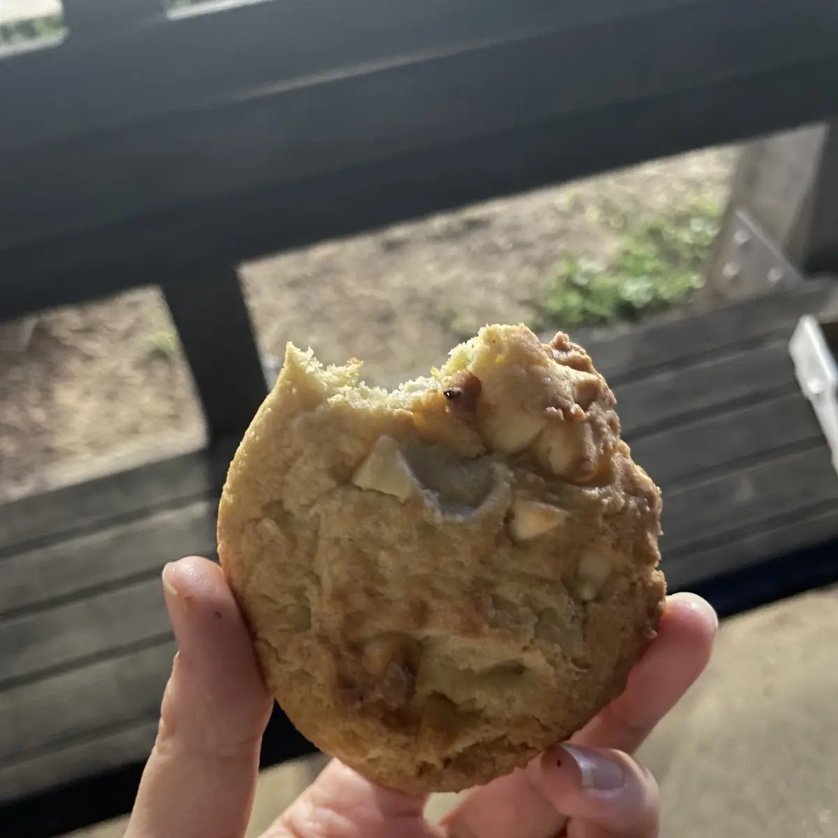 White Chocolate Macadamia Nut Cookie