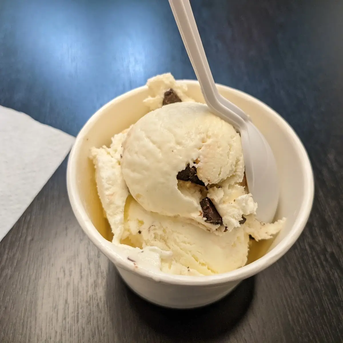 Large Chocolate Chip