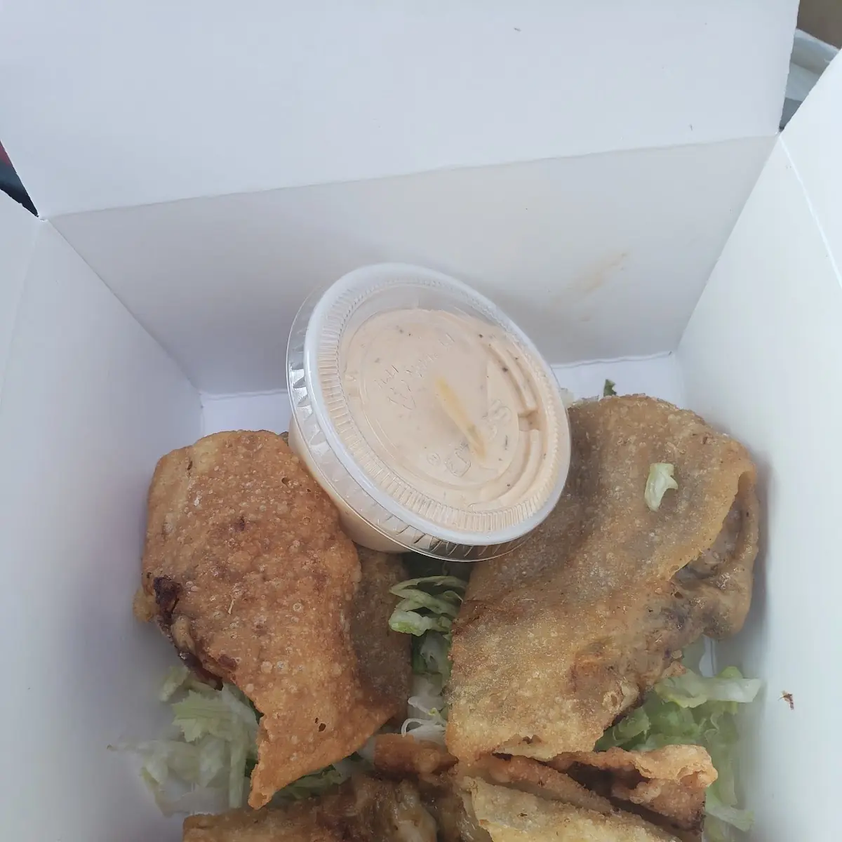 Pulled Pork Spring Rolls