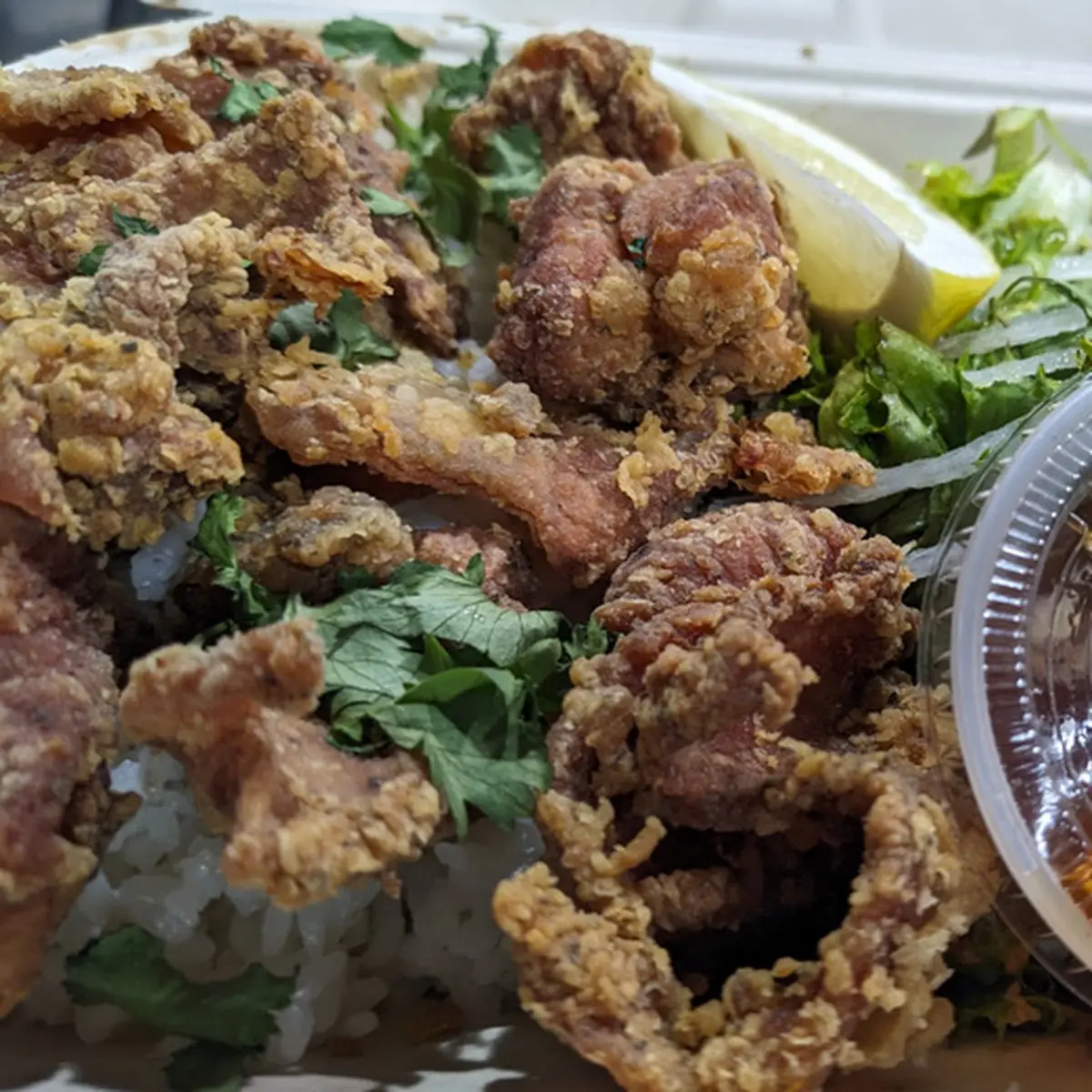 Karaage Chicken