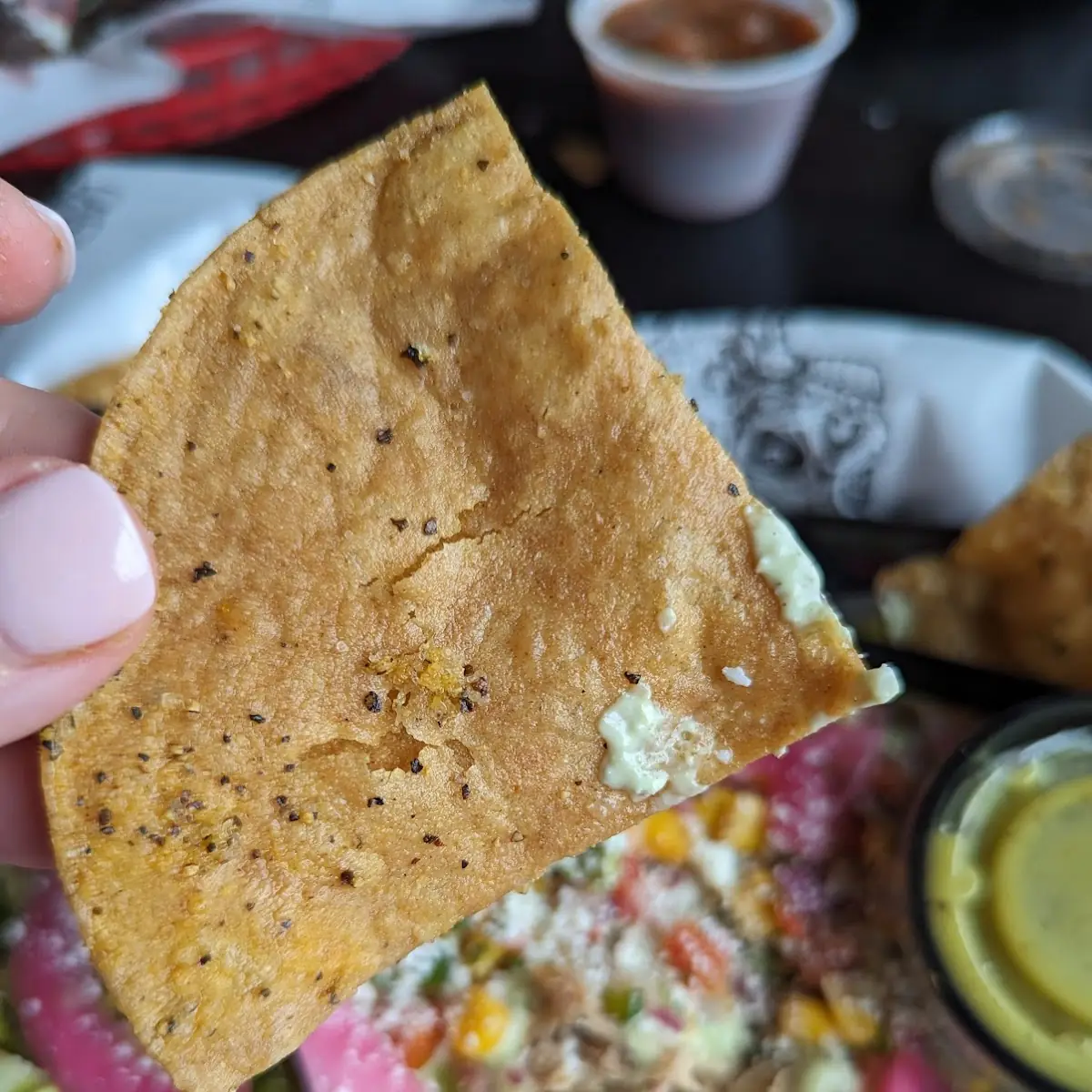 Tortilla Chips V