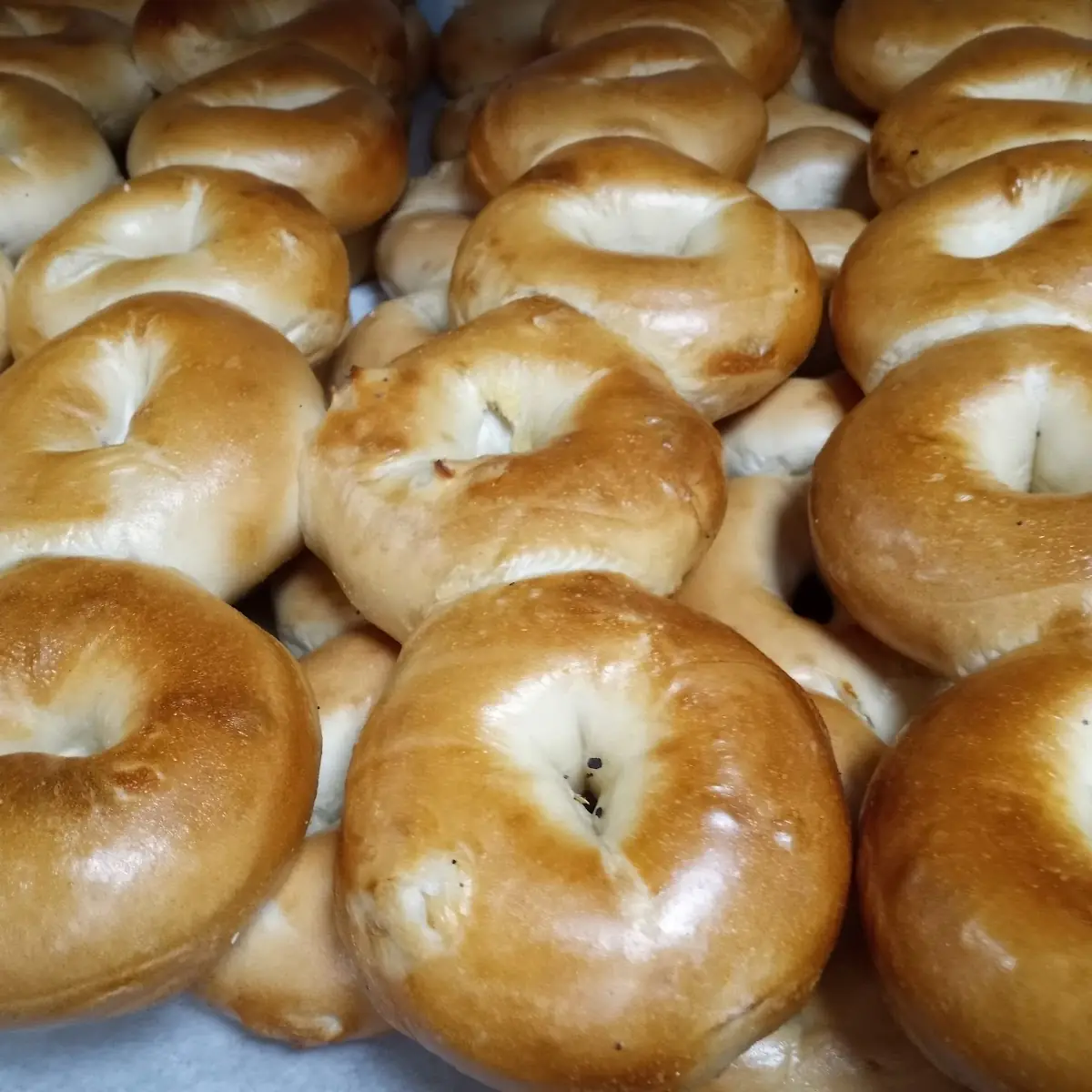 Very Crunchy Plain Bagel