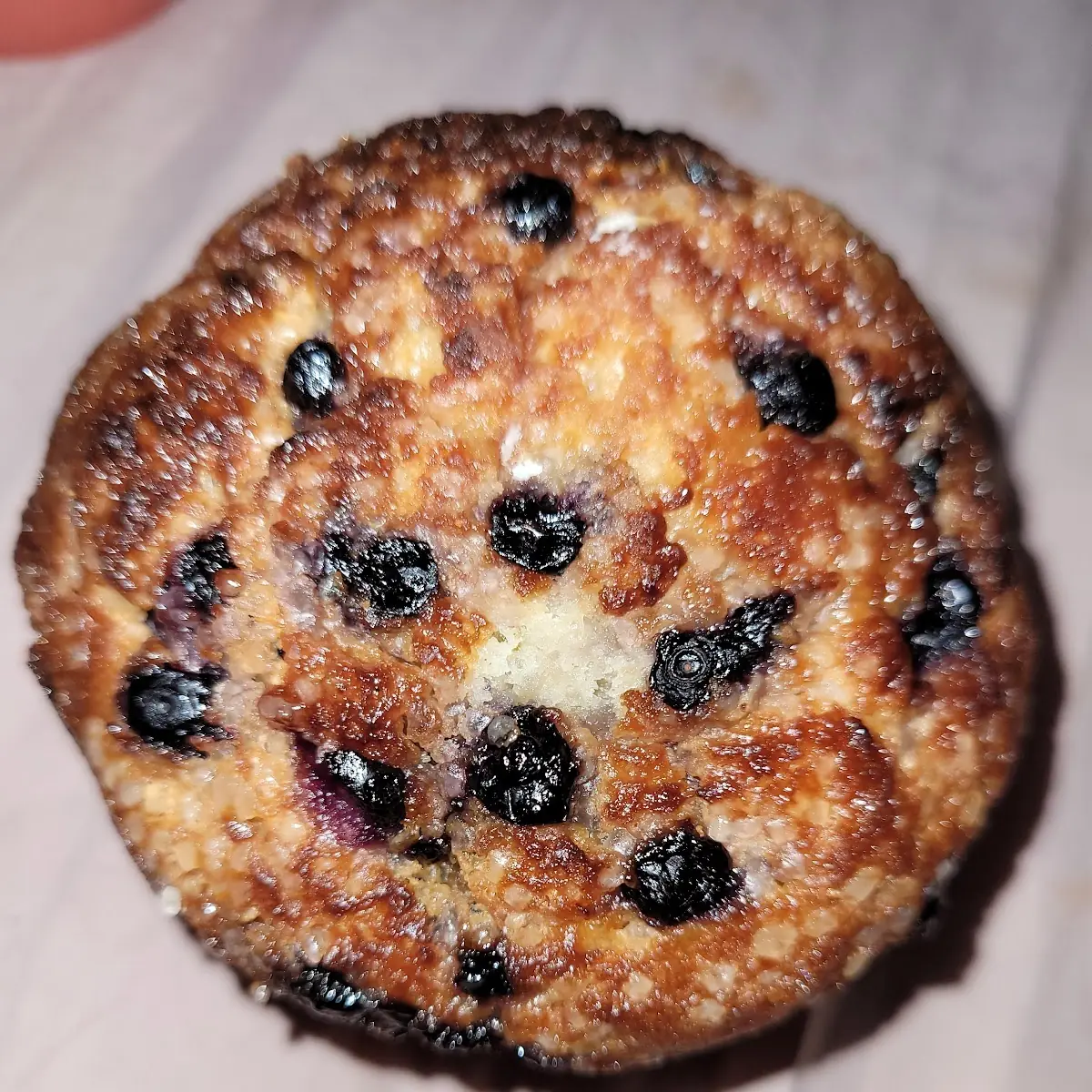 Blueberry Muffin