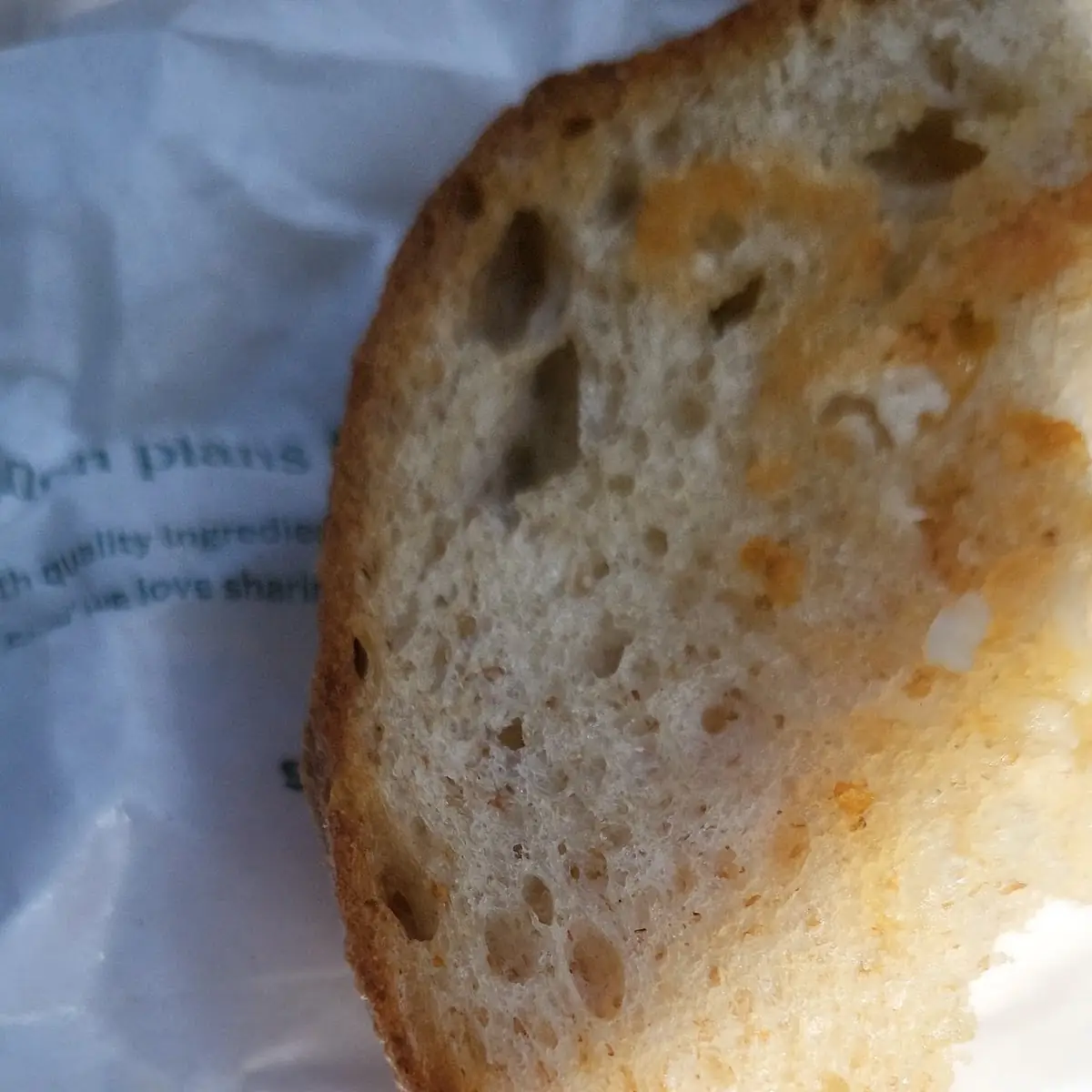 Grilled Cheese Sandwich