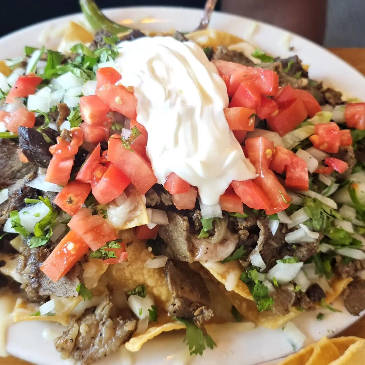 Carne Asada & Fries