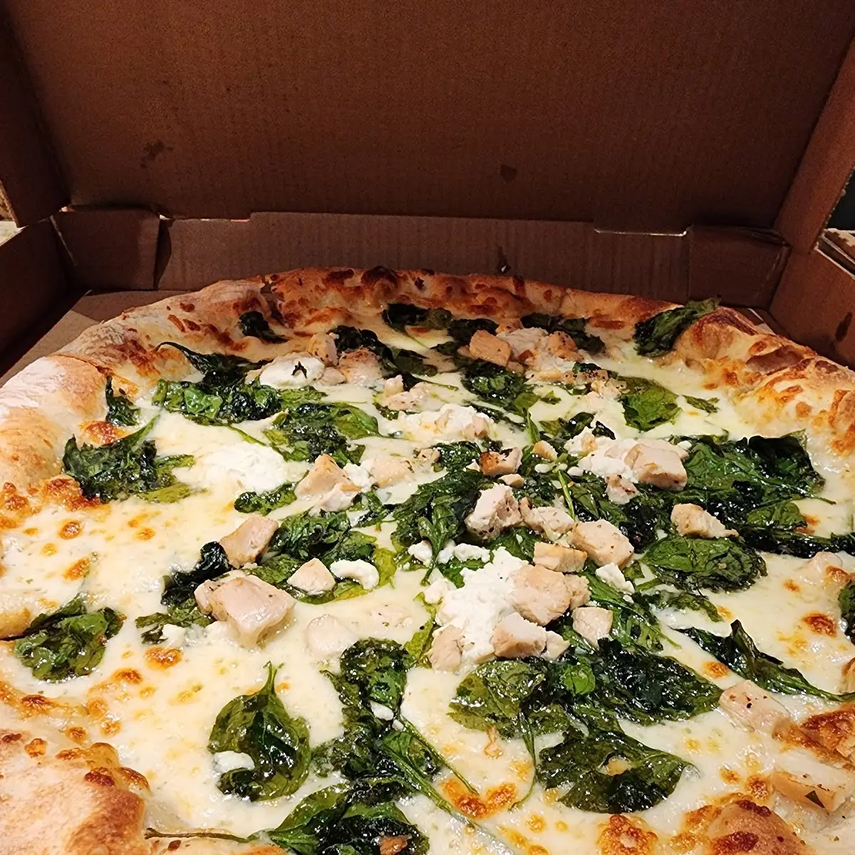 18 in White Pizza