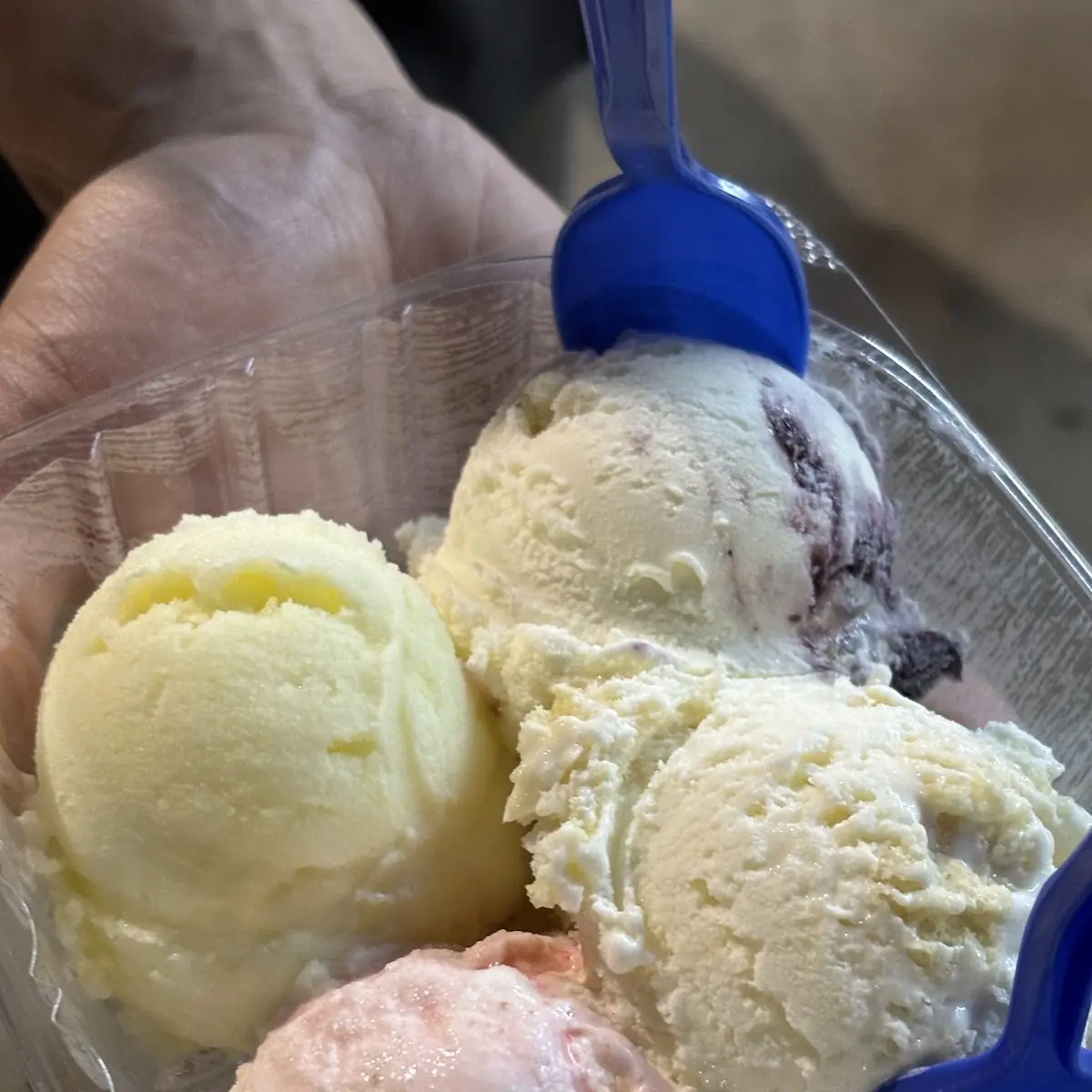 4 Scoop Sampler Platter