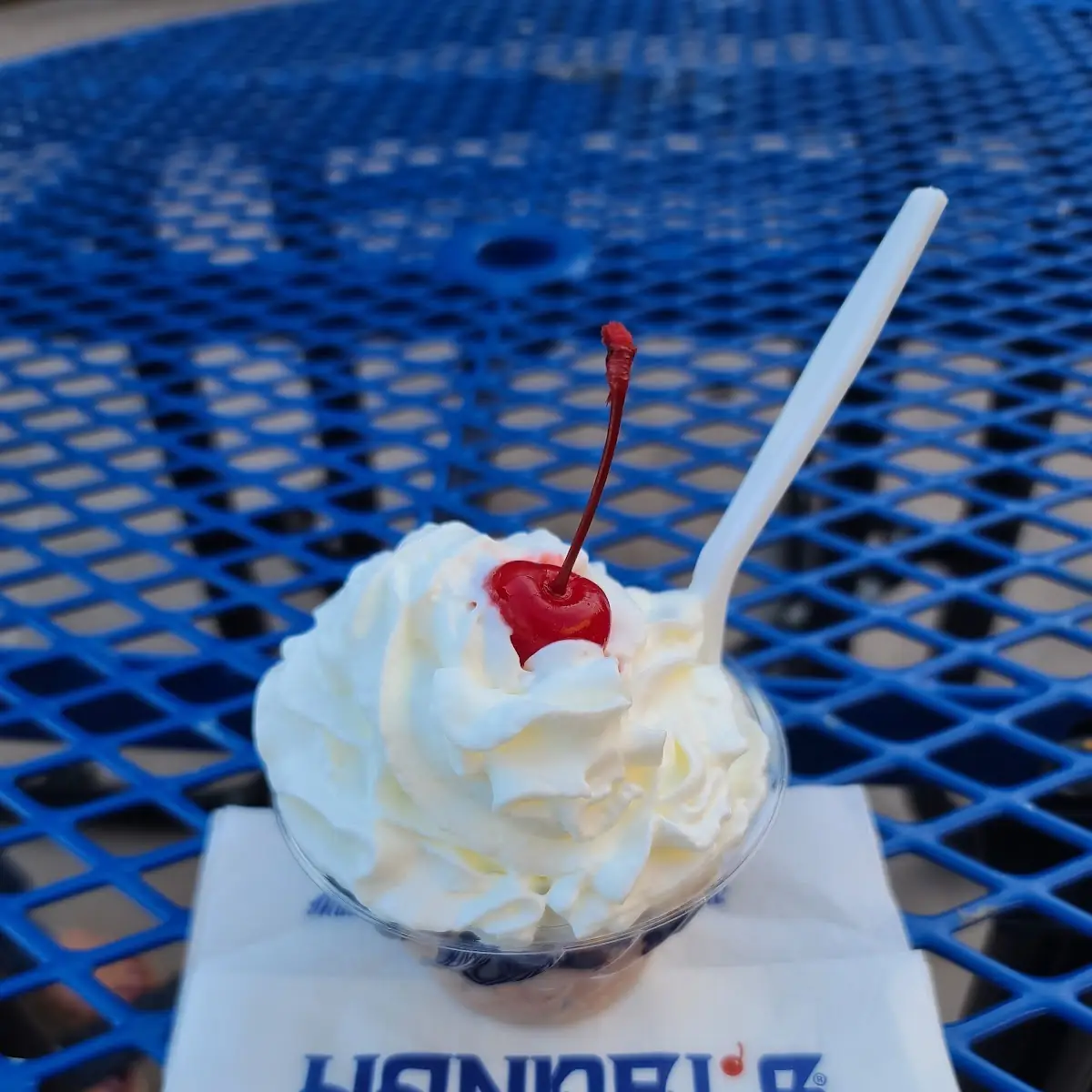 Hot Fudge Sundae