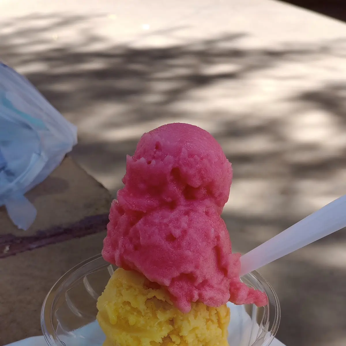 Watermelon - Mango Sorbet