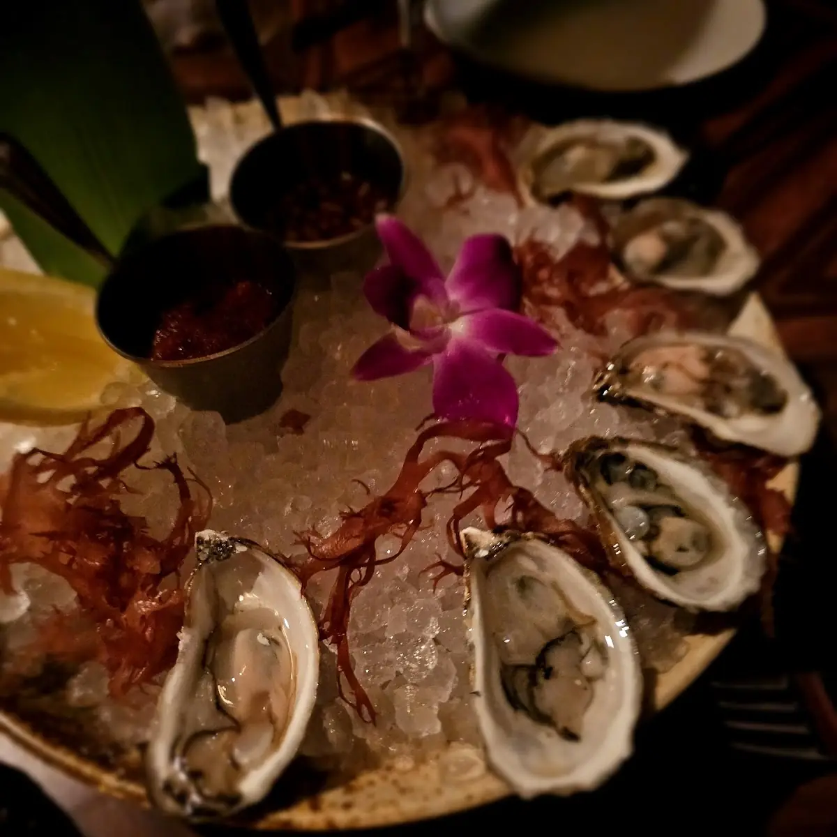 Fresh Oysters on Ice with Sauces