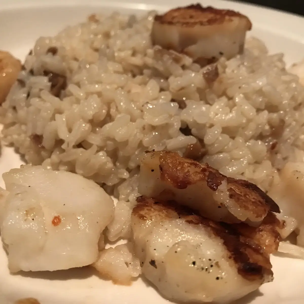 Shrimp & Scallops Andrea