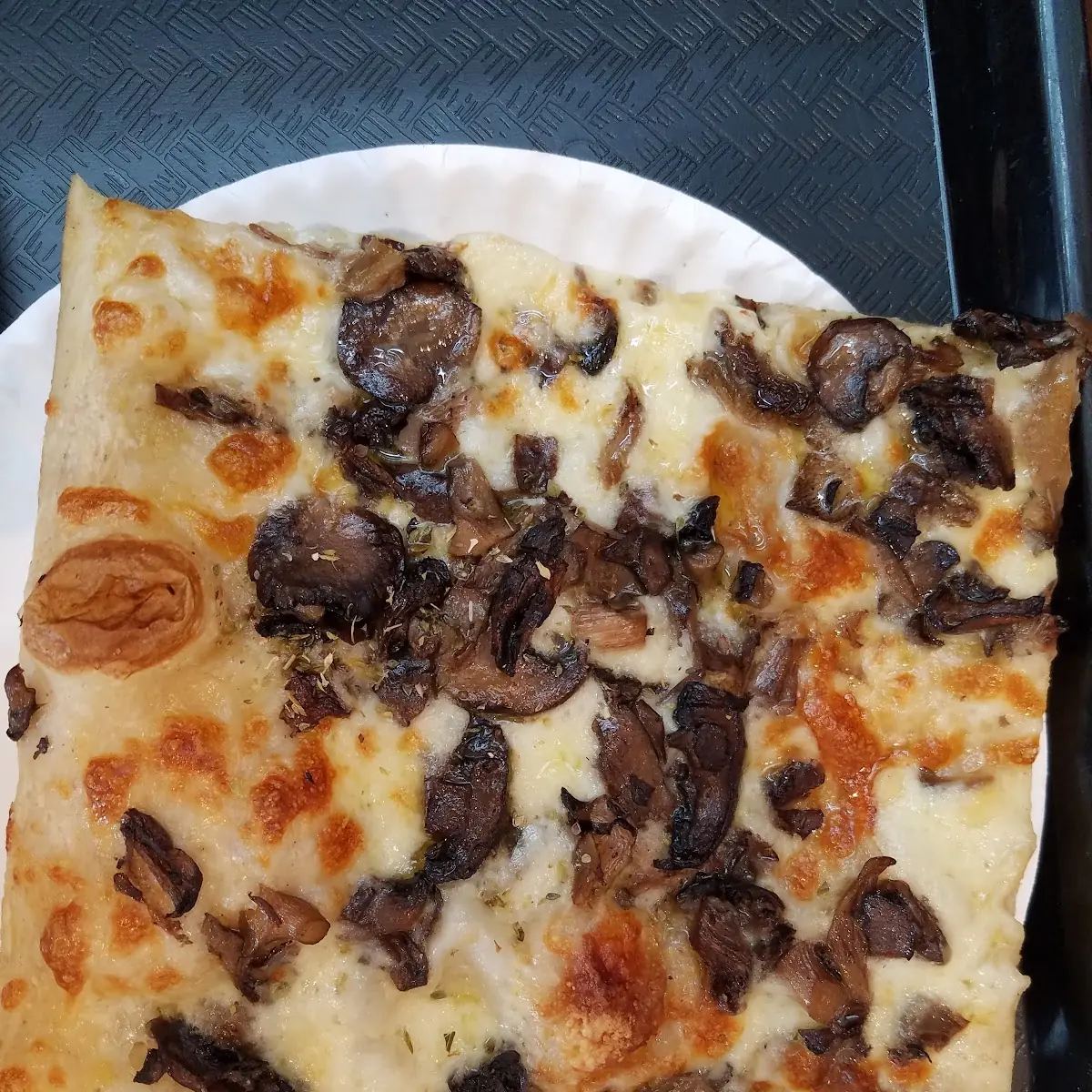 Forest Mushroom Pizza