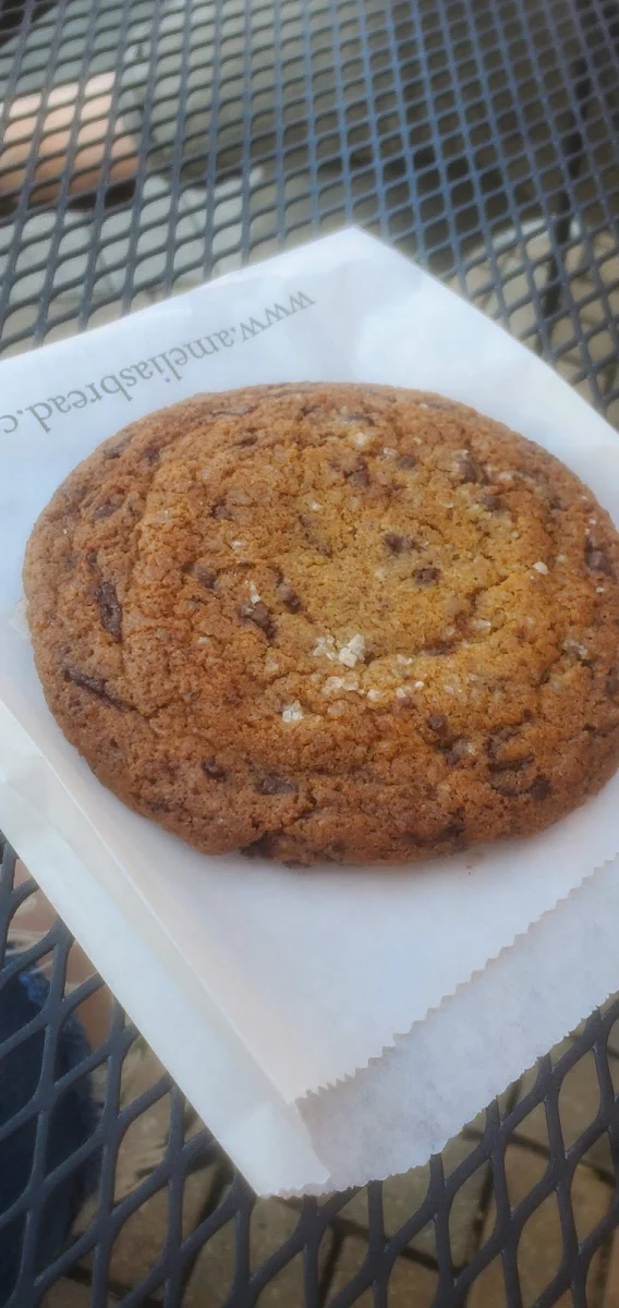 Chocolate Chip Cookie