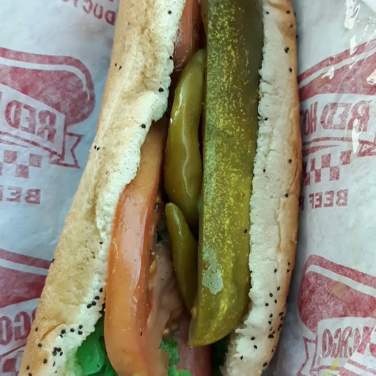Chicago Style Hot Dog