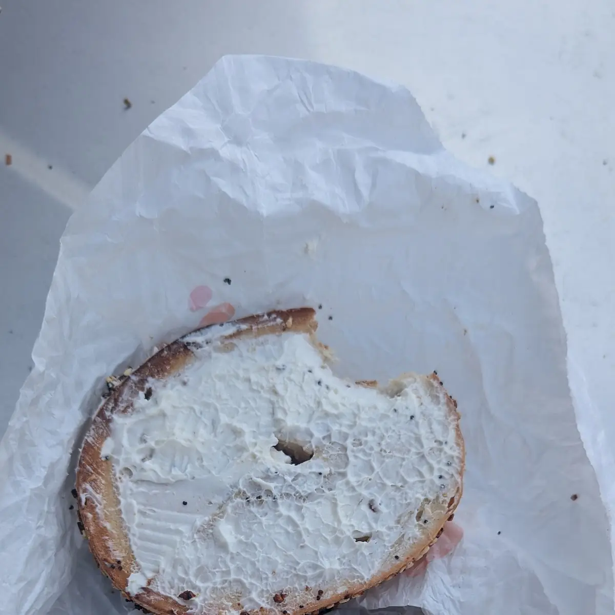 Everything Bagel with Cream Cheese