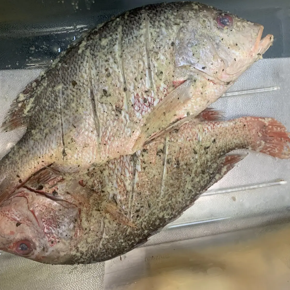 Pescado Frito Tilapia