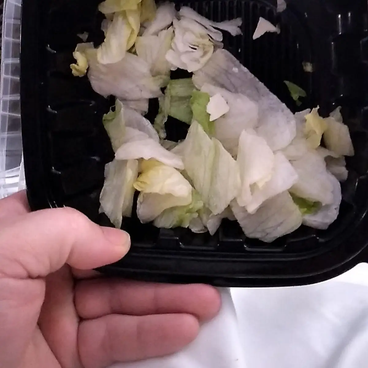 Supposed to Be a House Salad