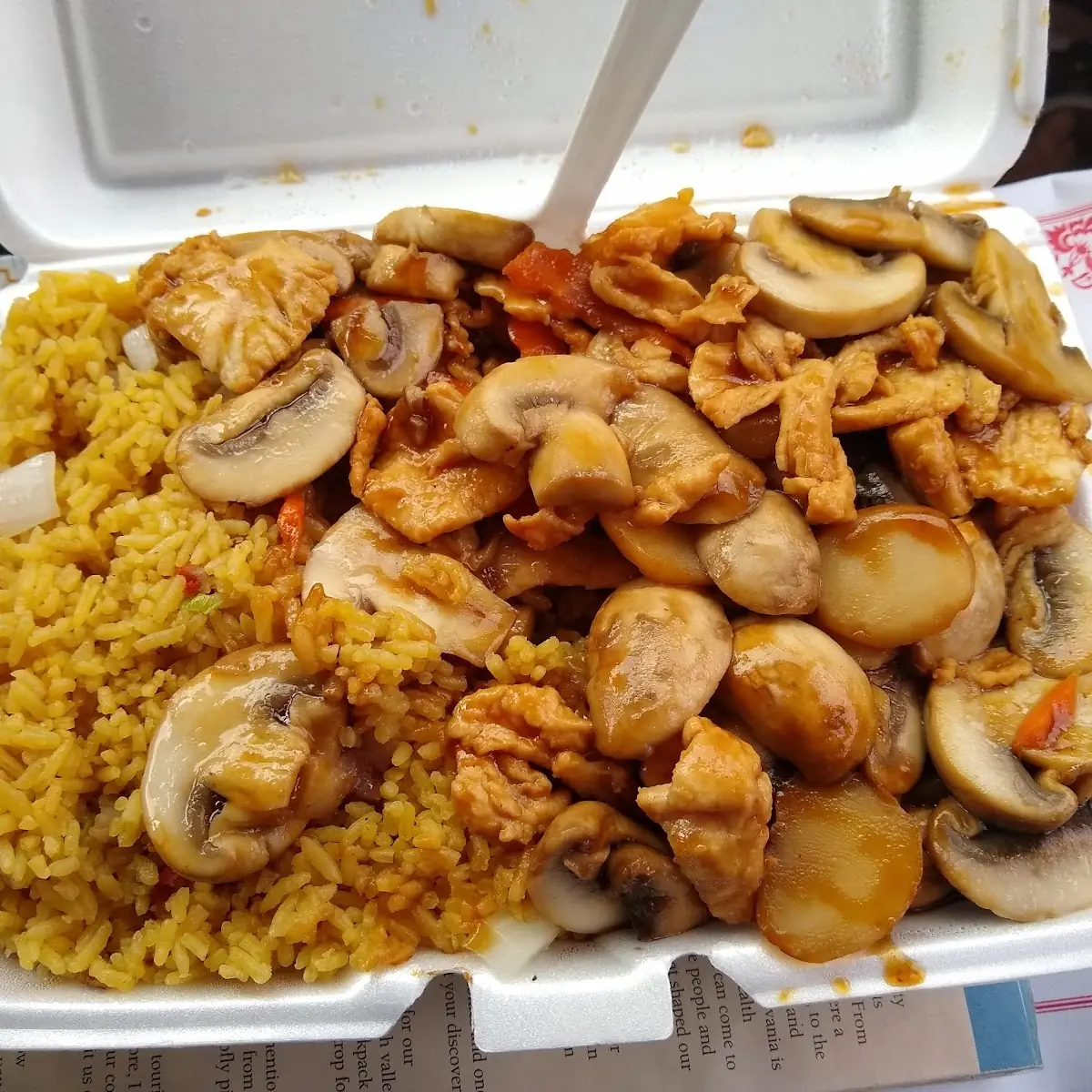 Mushrooms and Fried Rice