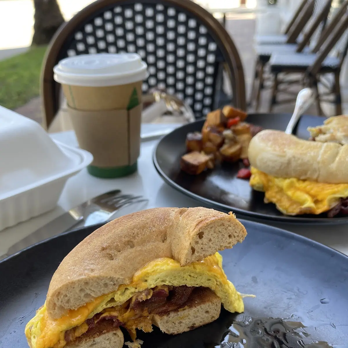 Bacon Egg and Cheddar Sandwich