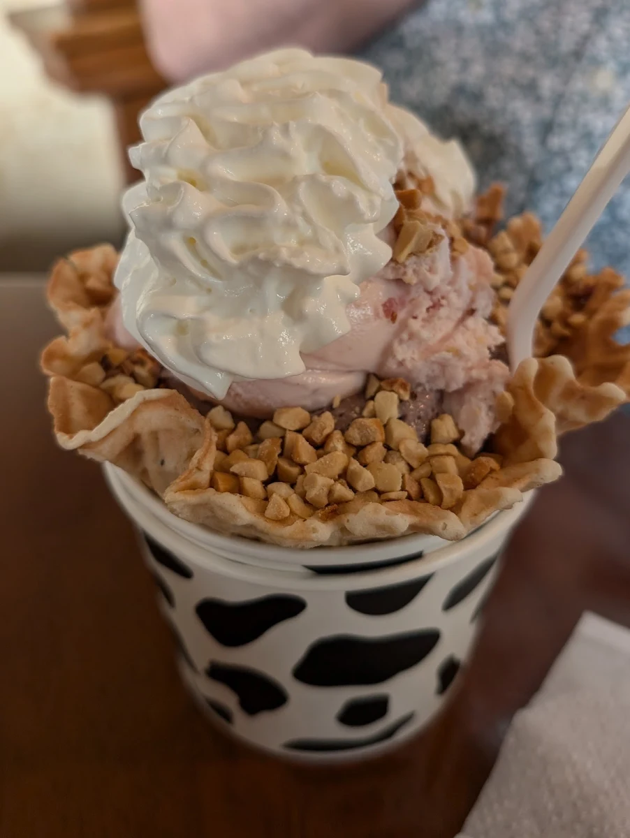 Waffle Bowl Sundae