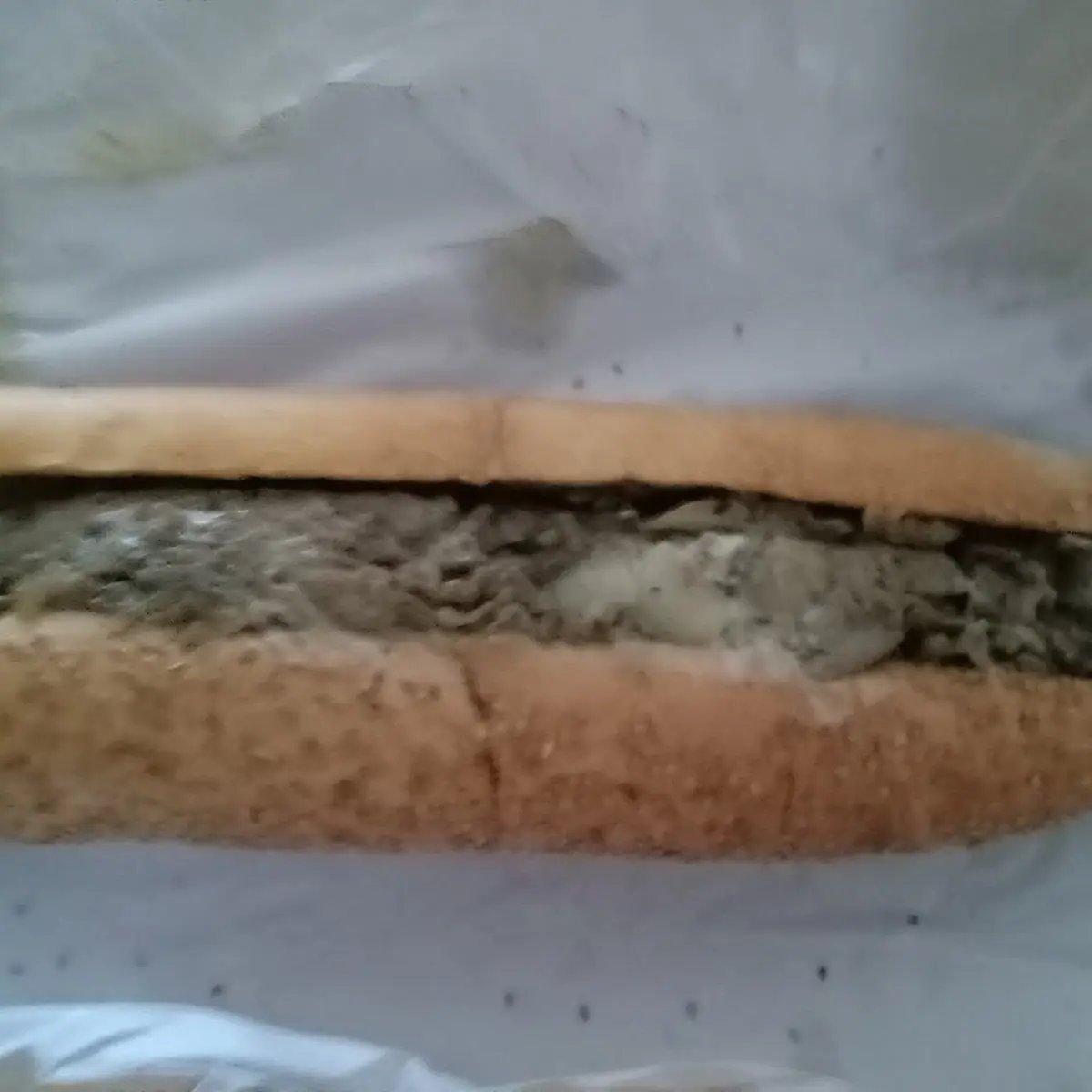 Cheesesteak Sub w Cooper Sharp & Provolone