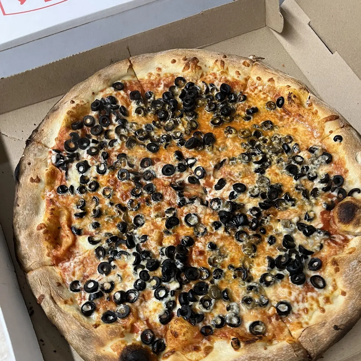 Olive Pizza Pie