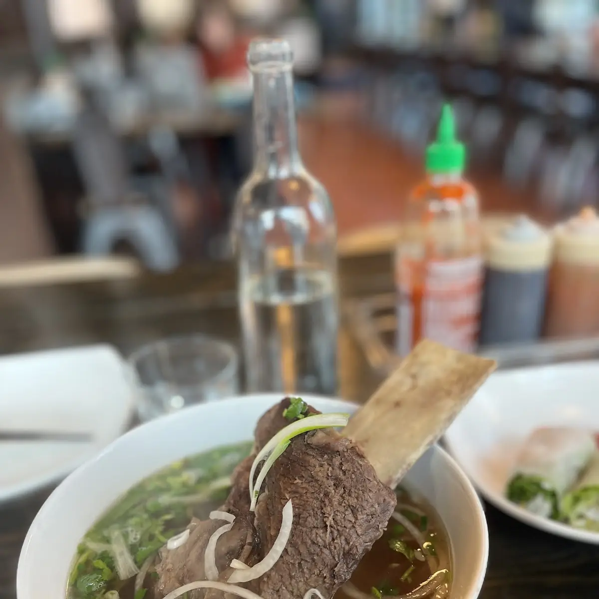 Short Rib Pho