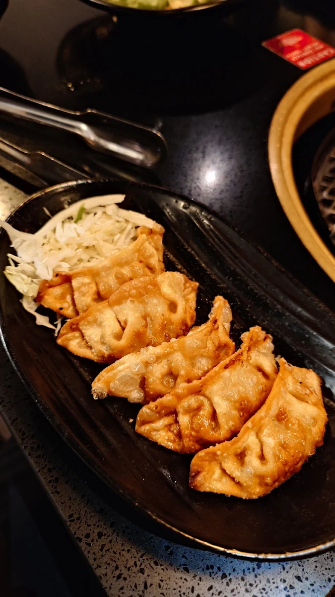 Fried Pork Gyoza Dumplings