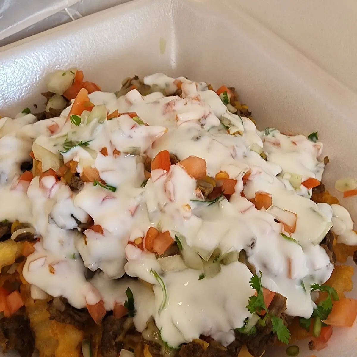 Carne Asada Fries