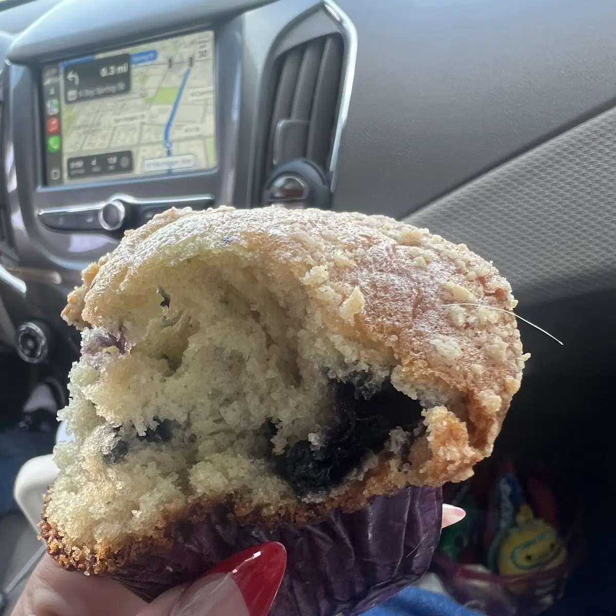 Blueberry Muffin
