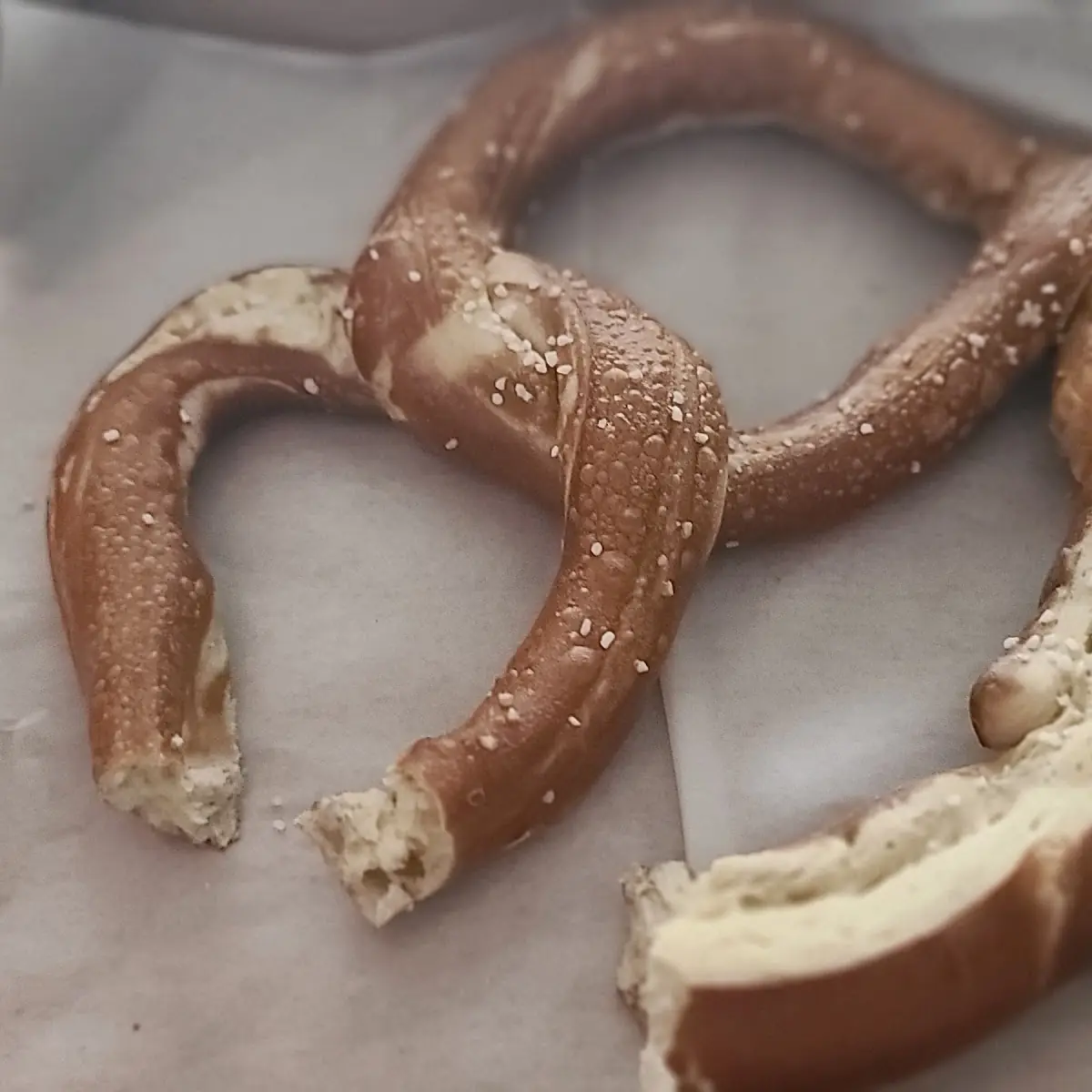 TOASTY PRETZEL BITES