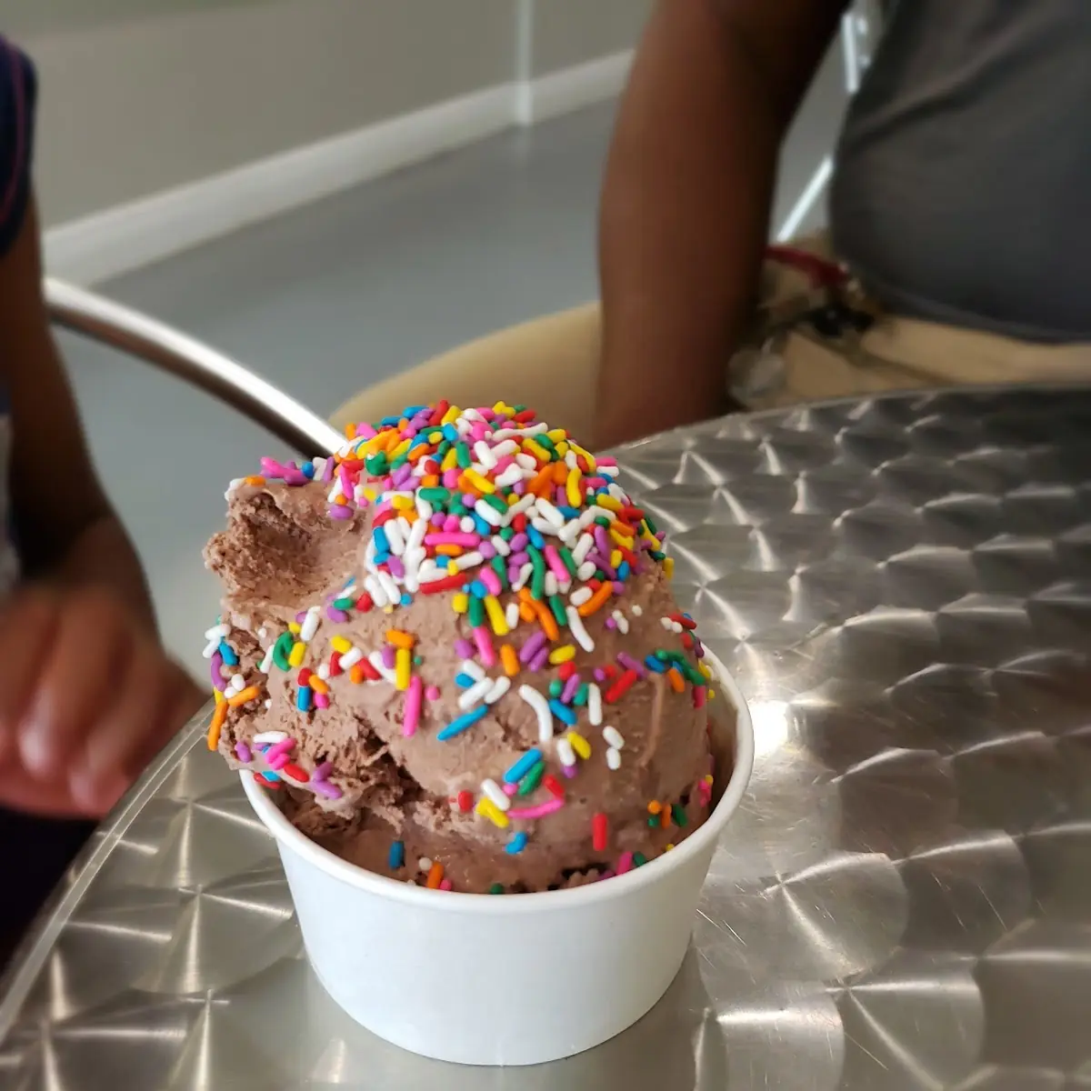 2 Chocolate Ice Cream Scoops with Rainbow Sprinkles