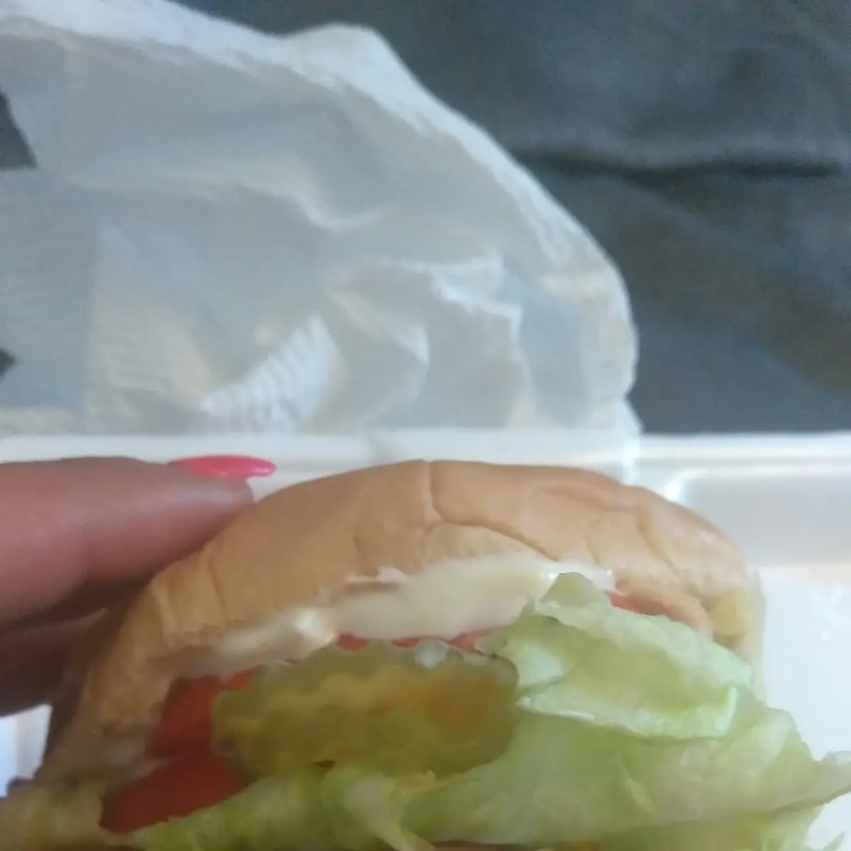 Juicy Burger Mayo