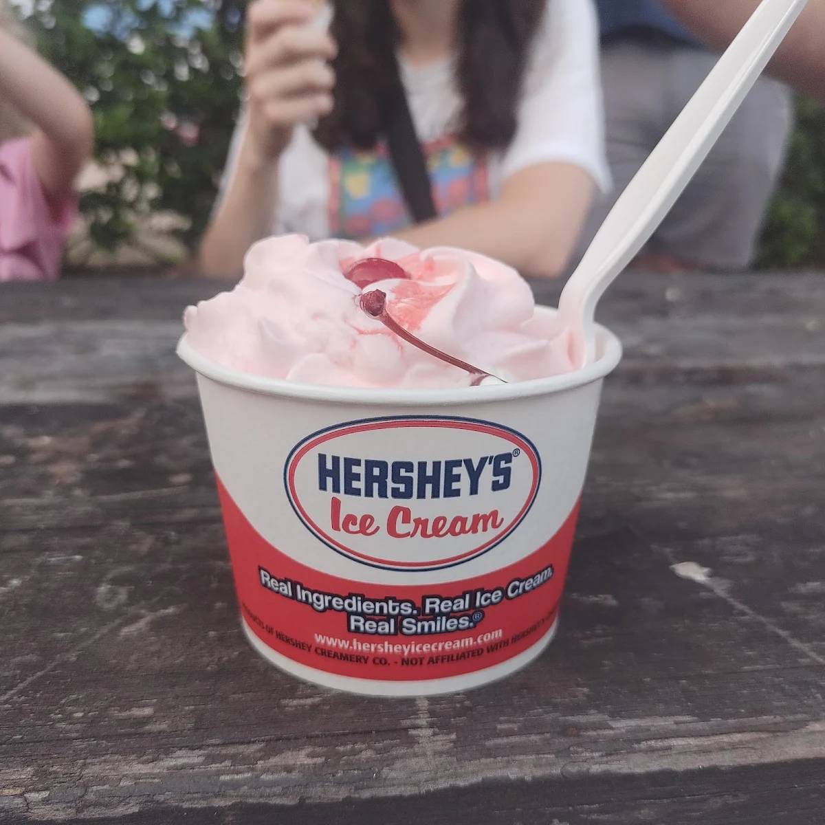 Turtle Sundae