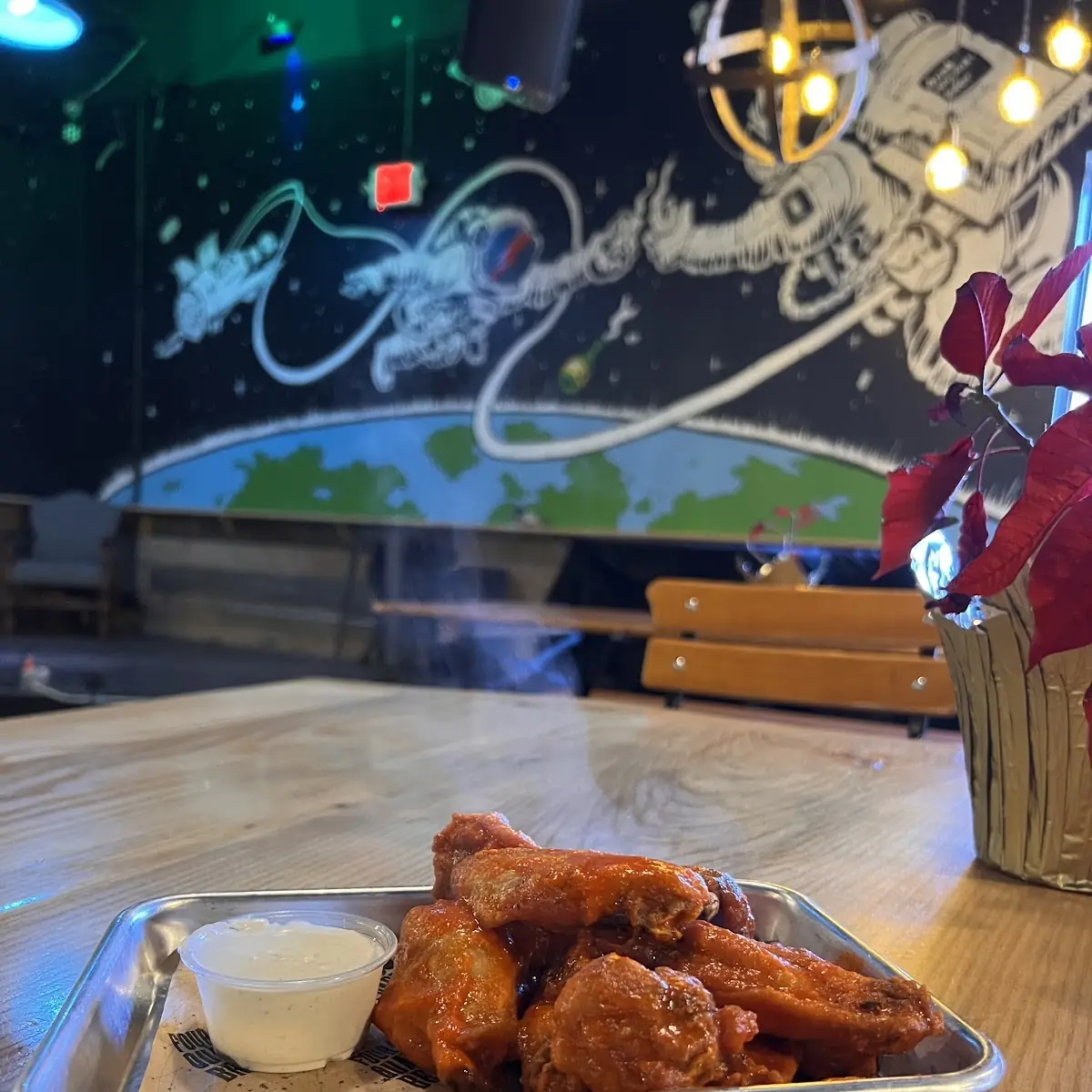 Confit Chicken Wings 8