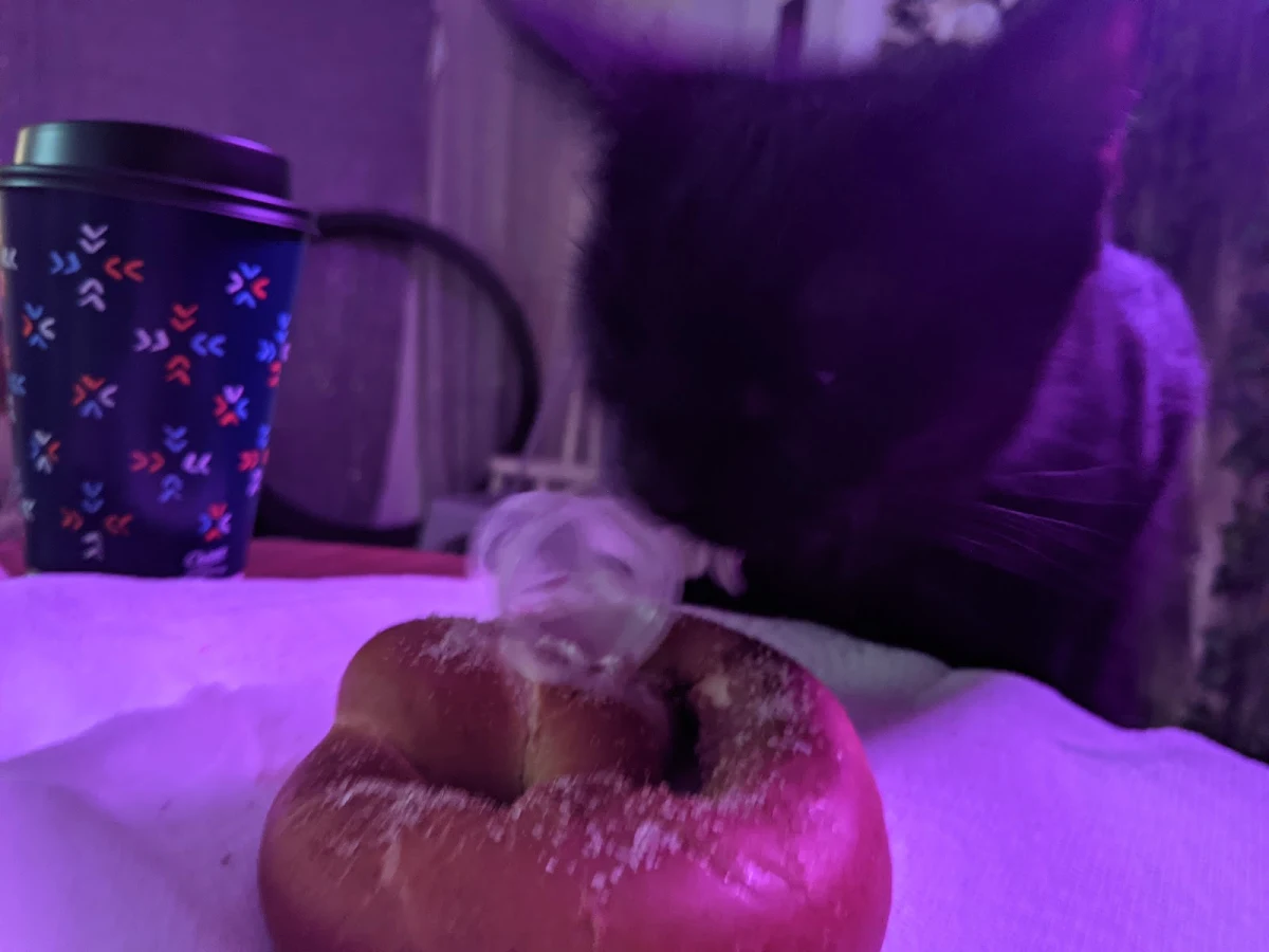 Pretzel with White Queso Dip