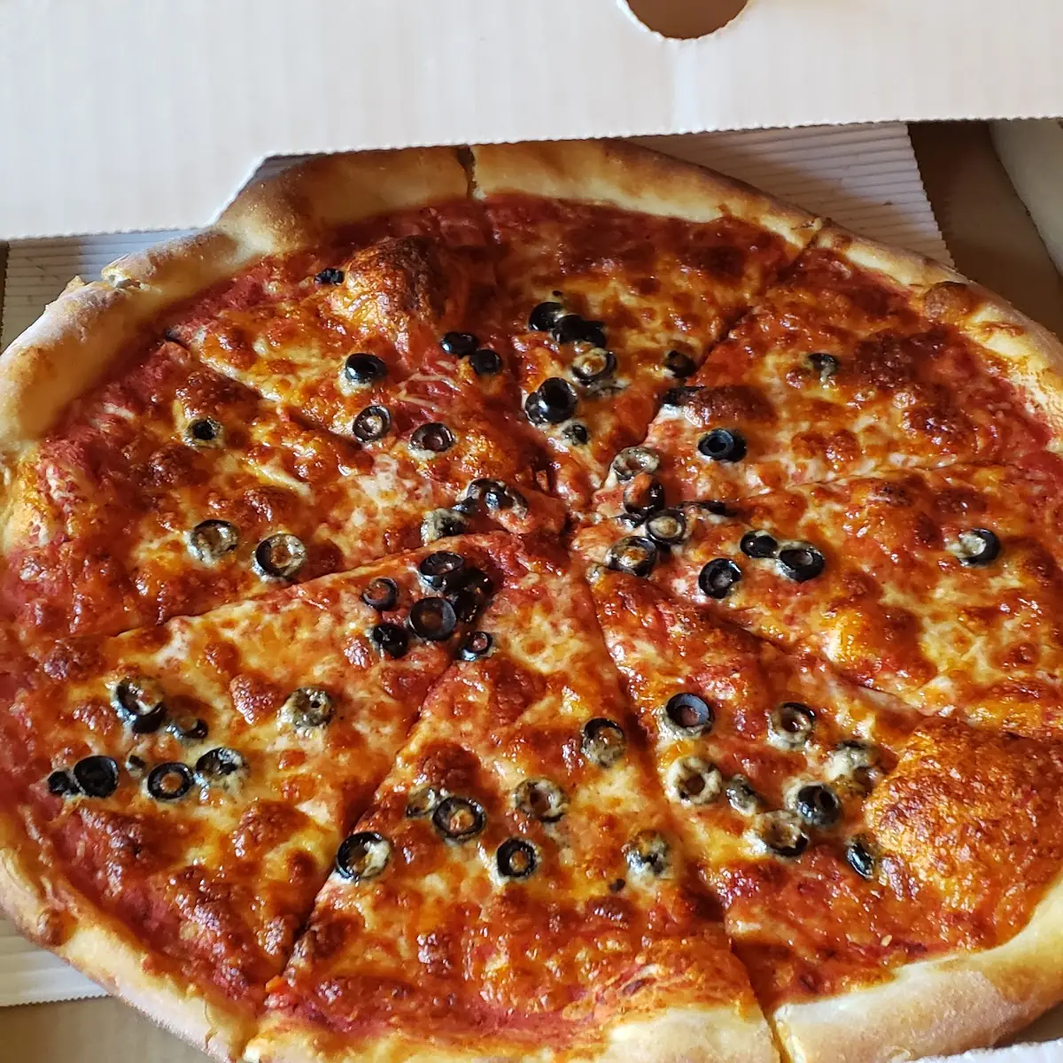 Black Olive Pizza