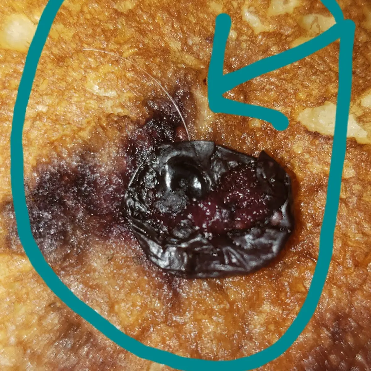 Blueberry Pancakes