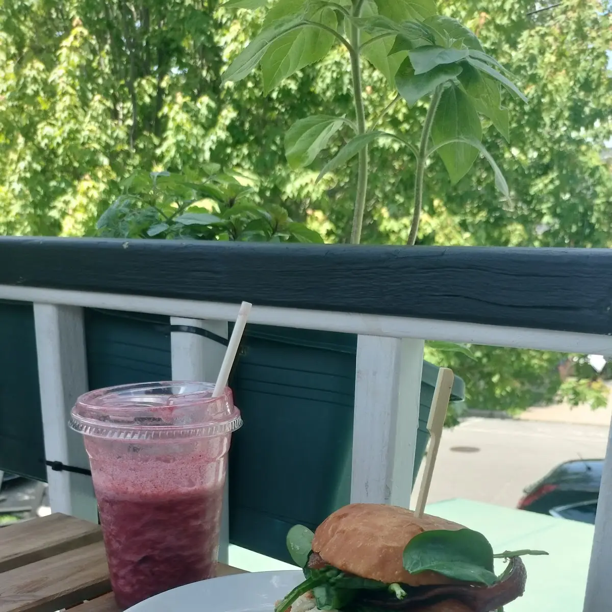 Grilled Chicken Sandwich