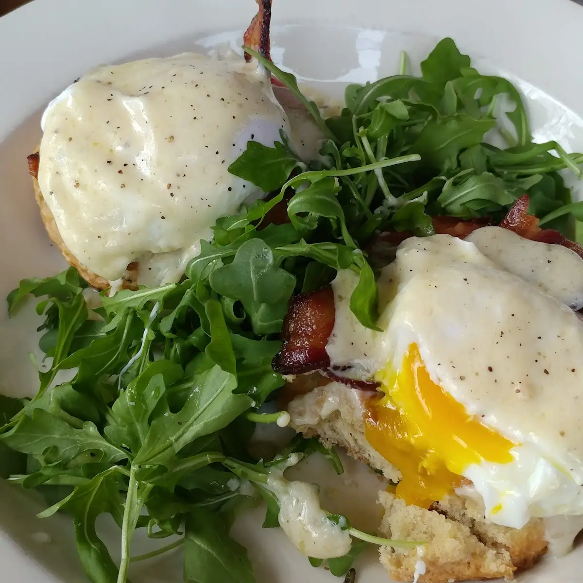 Poached Eggs Benedict
