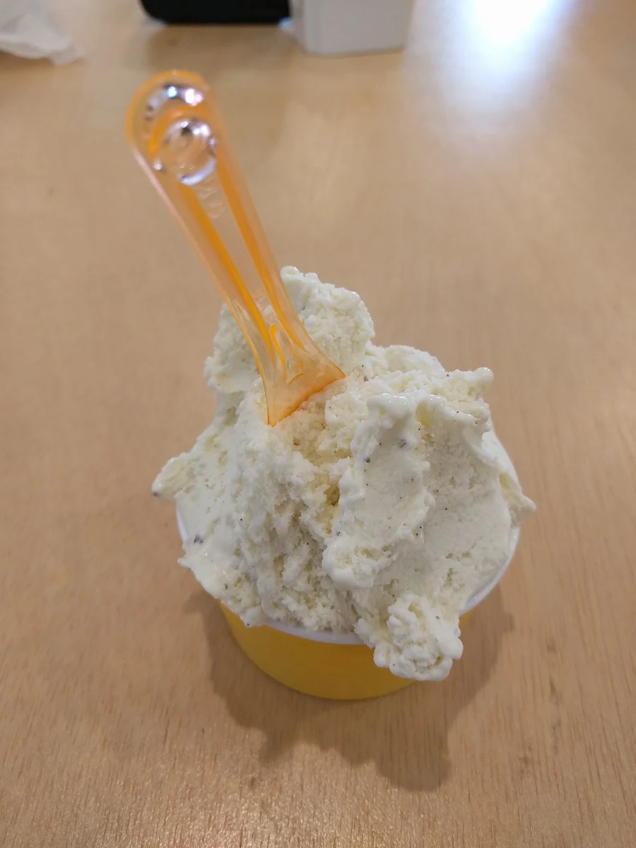 Vanilla Bean