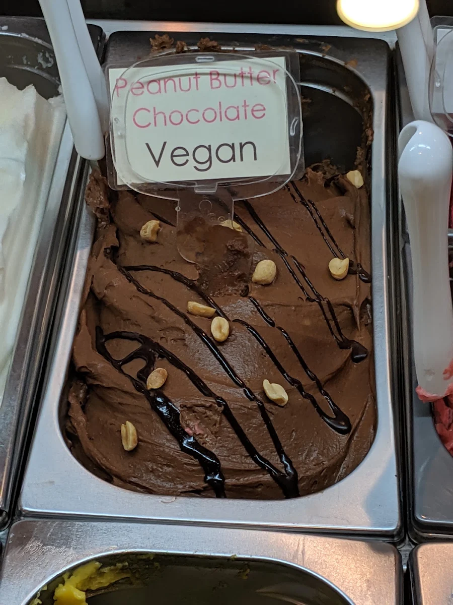 Vegan Chocolate Gelato