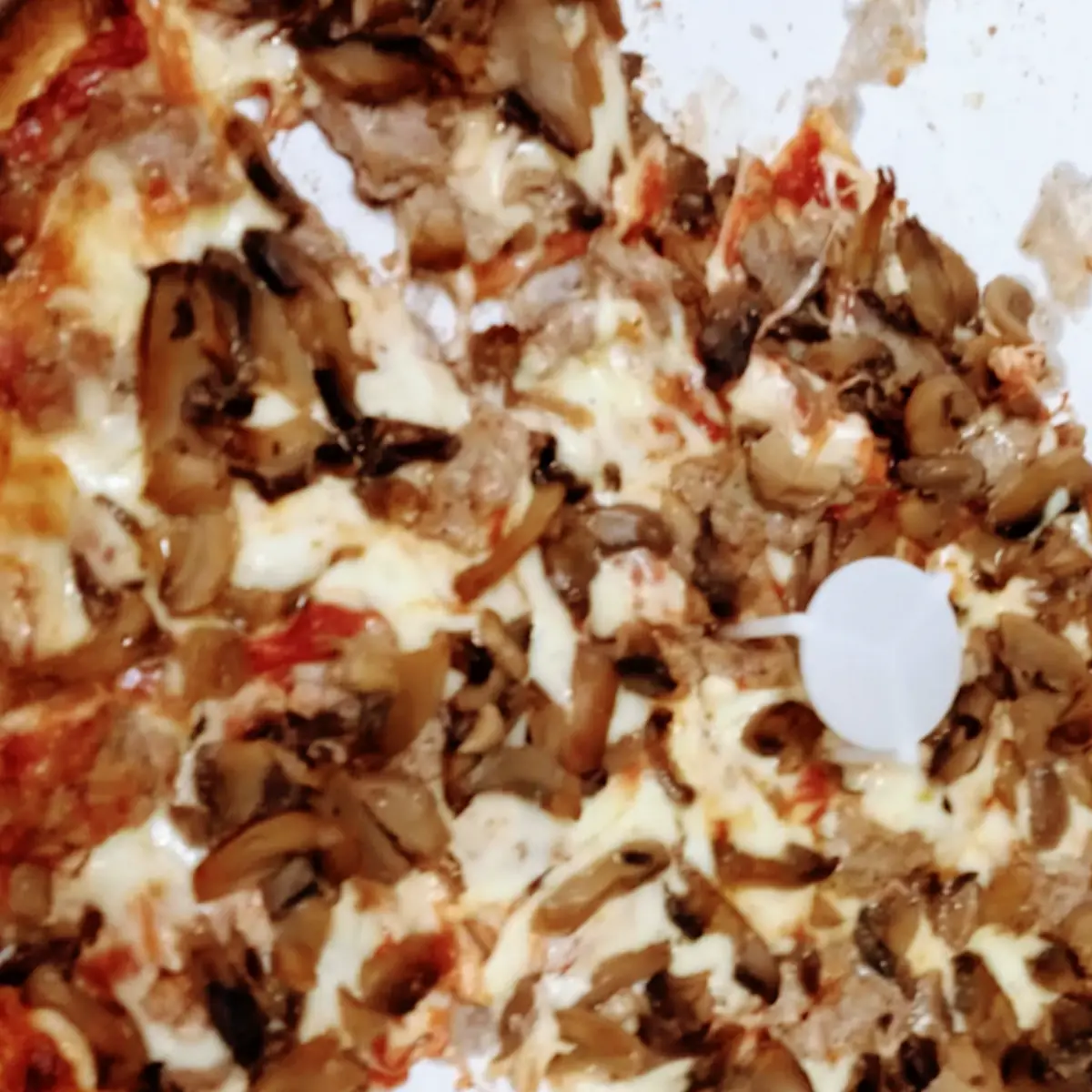 Mushroom Pizza