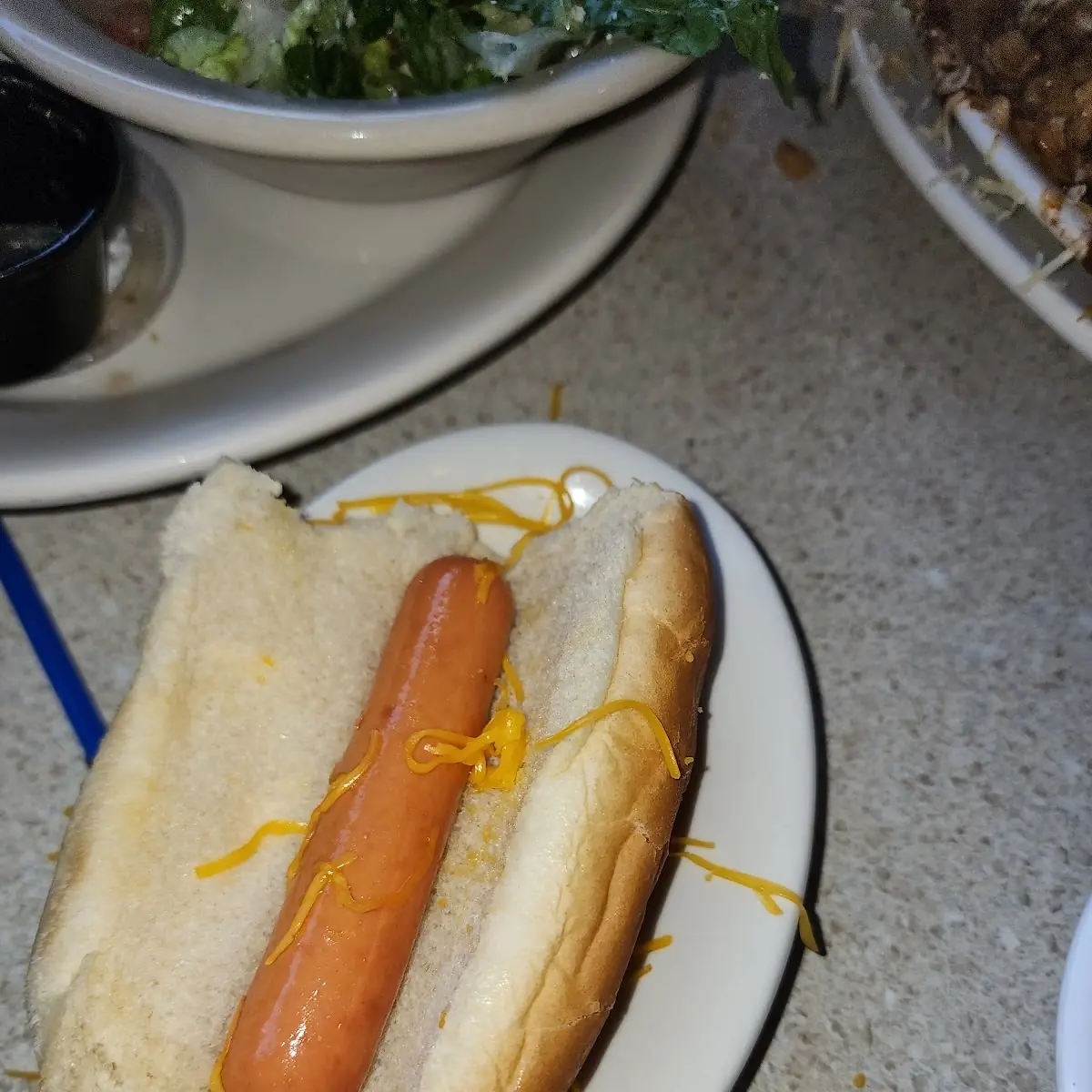 Plain Hot Dog