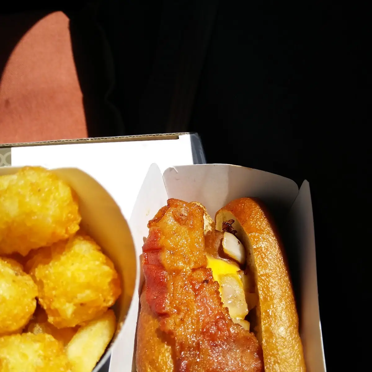 Bacon Hot Dog and Tater Tots
