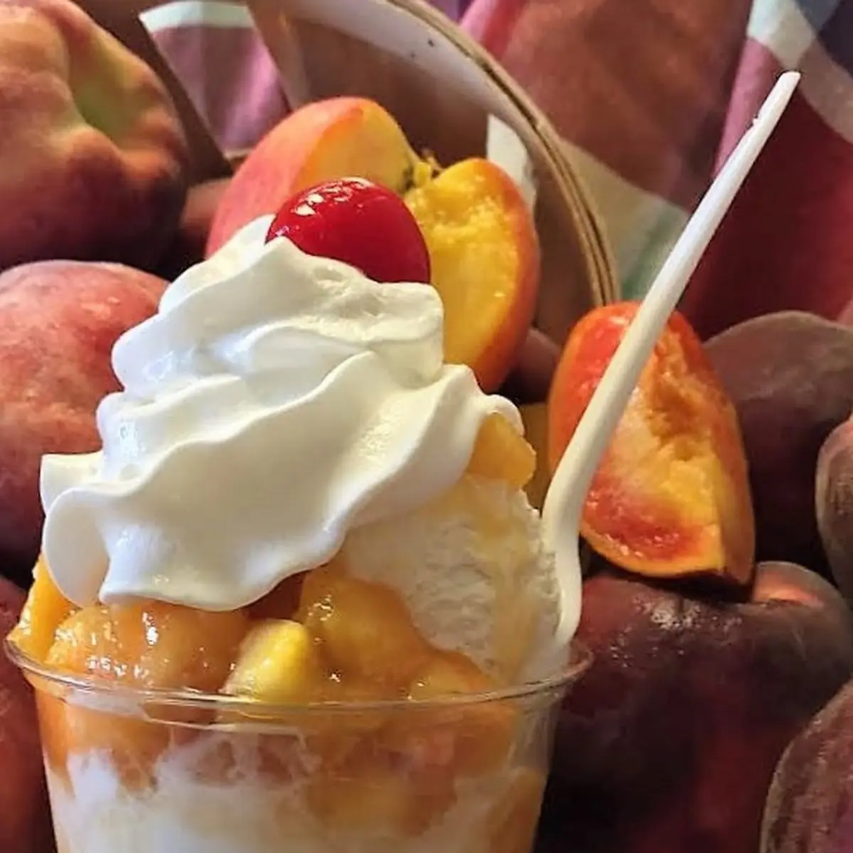 Seasonal Fresh Fruit Sundaes